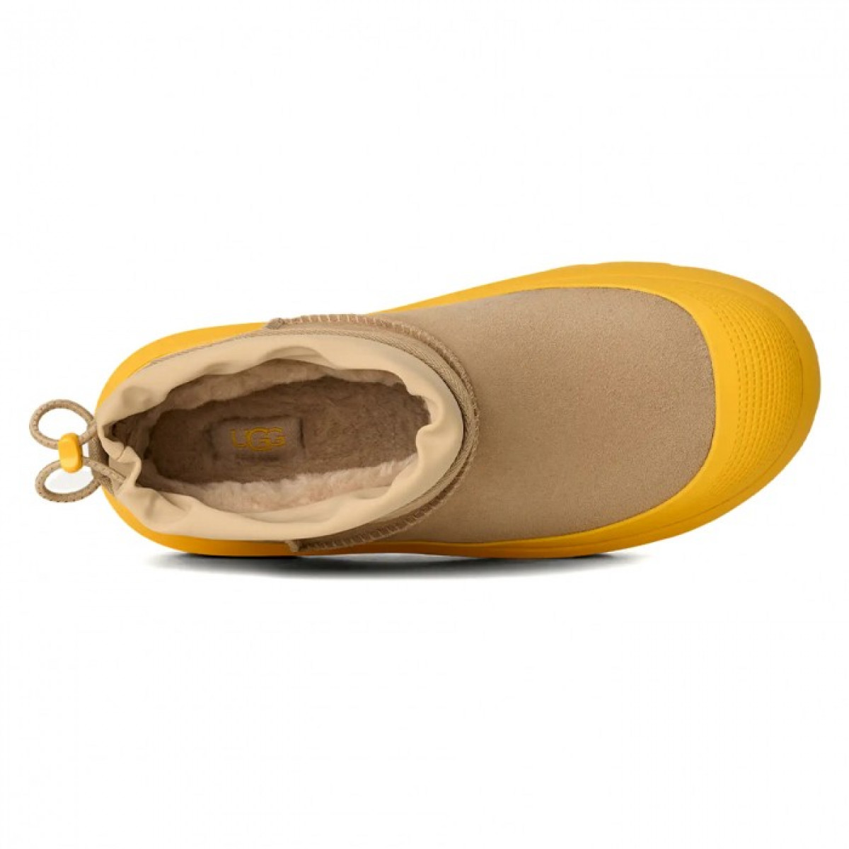 UGG Ultra Mini Hybrid Mustard Seed Summer Wheat