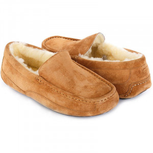 UGG Men Ascot Chestnut