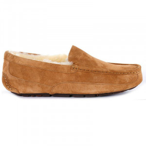 UGG Men Ascot Chestnut
