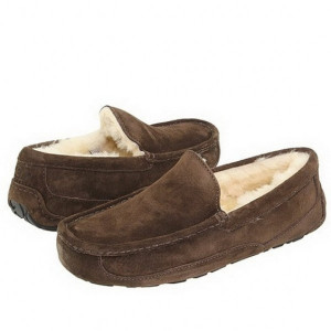 UGG Men Ascot Chocolate
