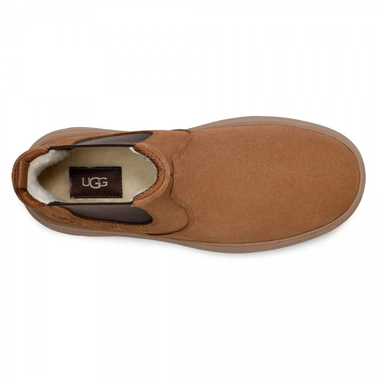 UGG Mens Burleigh Chelsea Chestnut